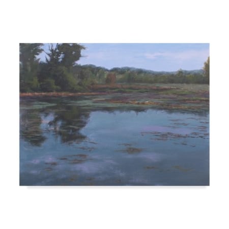 Rusty Frentner 'Heron Isle' Canvas Art,14x19